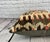 20 x 20 Kilim Pillow Turkish Cushion Natural Brown Pillow Cushion Cover For Sale - Image 4 of 4