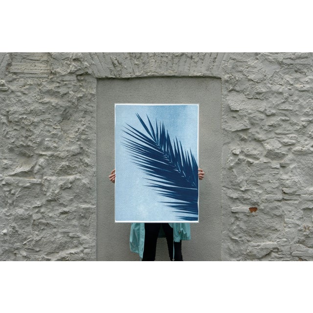 2020s "Palm Tree Leaf Over Sky" Contemporary Botanical Limited Edition Cyanotype Print For Sale - Image 5 of 9