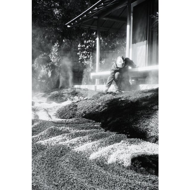 Taco, Monochrome Hase-Dera Temple, Kamakura, Kanagawa, 2024, Archival Pigment Print For Sale - Image 10 of 10