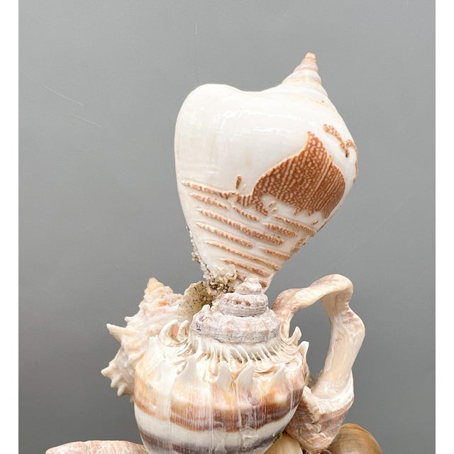 Pair of Coastal Shell Topiary Urn Topiary Sculptures by Artist – Coastal / Organic Modern For Sale - Image 11 of 17