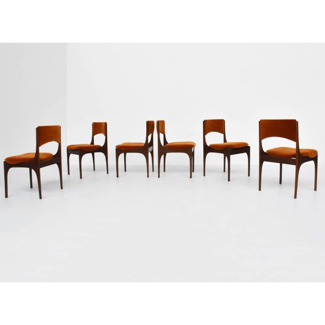 Brown Rosewood Chairs Mod. Elisabetta by Sormani for Giuseppe Gibelli, Italy, 1961, Set of 6 For Sale - Image 8 of 8