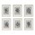 Natural Wood Shadow Box Framed Original Drawings 'Black and White Floral Abstractions on Music Score Sheets' #4 - Wall Gallery Installation - Set of 6 For Sale