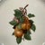 1970s Thornberry’s u.s.a. Fruit Plates Porcelain Set of 4 - 7 3/4” For Sale - Image 6 of 13