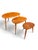 Ercol Nesting Tables by Lucian Ercolani for Ercol, 1960s, Set of 3 For Sale - Image 4 of 13