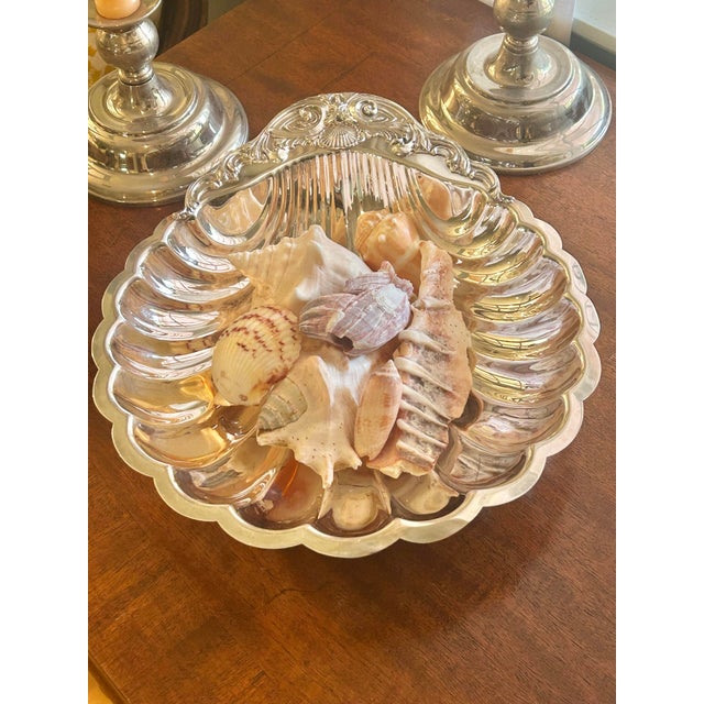 Mid 20th Century Rococo Hollywood Regency 10.5” Silver Plate Shell Dish Attributed to Fb Rogers - With Natural Shells For Sale - Image 4 of 9