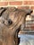 Vintage Teak Wood Root Sculpture on Metal Stand For Sale In New York - Image 6 of 17