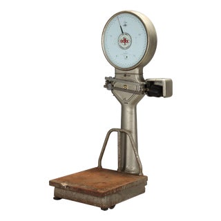 Scale from Alfa Bilici For Sale