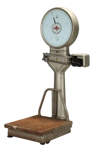 Scale from Alfa Bilici