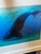 Brian Skerry North Atlantic Whale Photography For Sale - Image 10 of 12
