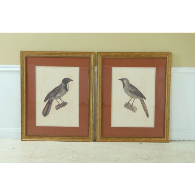 Large Framed & Matted Colored Bird Prints - a Pair For Sale - Image 9 of 9