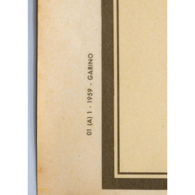 Educational Poster Depicting Mammals from G.B. Paravia Torino, 1959 For Sale - Image 6 of 8