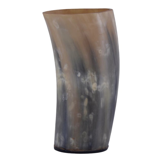 Natural Buffalo Bison Horn 6" Vase (B) For Sale