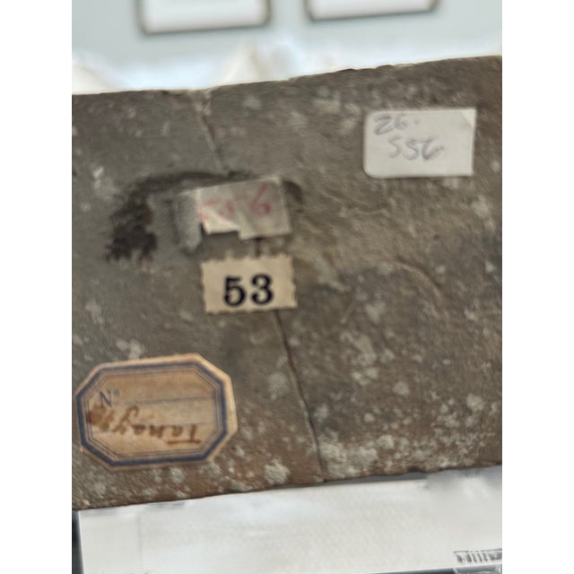 Set of Four Italian Grand Tour Terracotta Classical Female Figures, Late 19th Century For Sale - Image 9 of 10