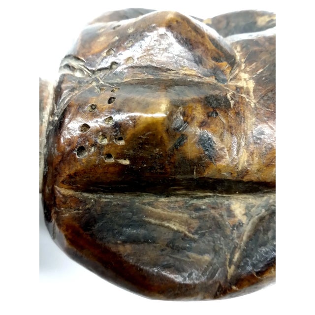 Antique African Tribal Primitive Wood Female Figure Carved Ashanti For Sale - Image 10 of 11