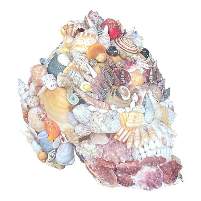 Vintage Boho Shell Encrusted Skull For Sale
