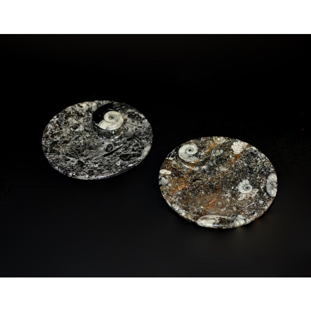 Pair Ammonite Plates Fossil Millions Years Natural Finely Crafted For Sale - Image 10 of 13