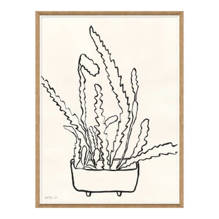 Peregrina II by Susan Hable For Sale