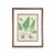 Wood 19th-Century European Fern Gallery | Set of 16 Framed Botanical Prints For Sale - Image 7 of 12