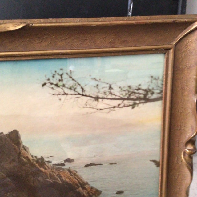 Vintage 1920s Hand Colored Photograph of the Lone Cypress in Monterey, California For Sale In Sacramento - Image 6 of 12