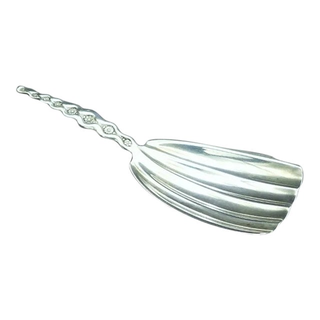 Antique Whiting Manufacturing Co Sterling Silver Scroll Floral Wds56 Tea Caddy Spoon 1866-1905 For Sale