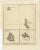 Antique map South Pacific Islands, Polynesia. Originates from 'Reizen Rondom de Waereld door James Cook (\.)'. Artists and...