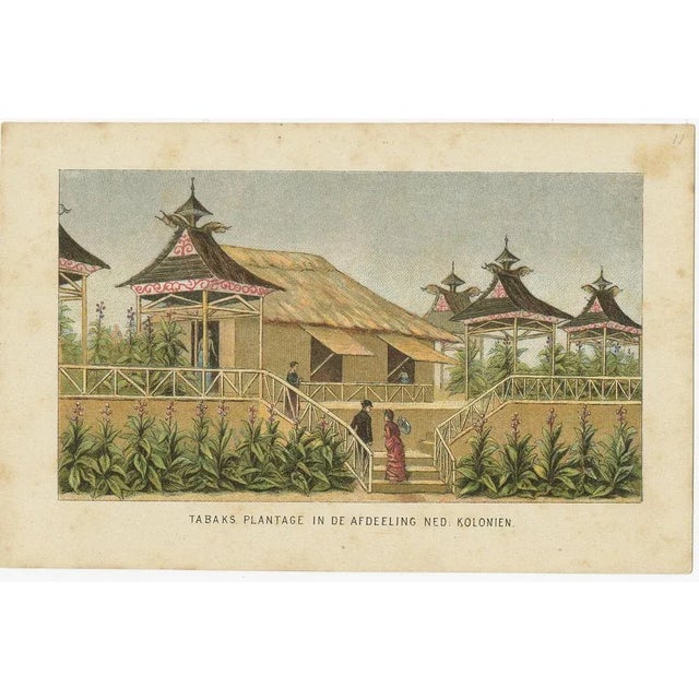 Views of Amsterdam and Dutch Colonies, 1883, Paper, Set of 18 For Sale - Image 11 of 18