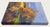 2020s Late Light Along the Fields – Vibrant Contemporary Oil Landscape For Sale - Image 5 of 7