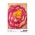 Cy Twombly Roses Poster For Sale