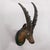 Rustic European Large Naturalistic Black Forest Carved Ibex Head, Ca. 1900s For Sale - Image 3 of 9
