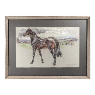 The Equestrian Eye: Original Pastel of a Stallion by Leslie Charlotte Benenson Dated May 16, 1986 For Sale