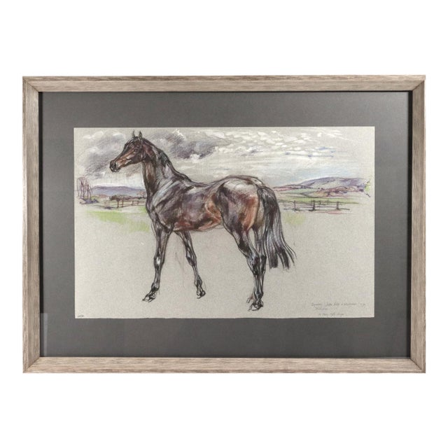 The Equestrian Eye: Original Pastel of a Stallion by Leslie Charlotte Benenson Dated May 16, 1986 For Sale