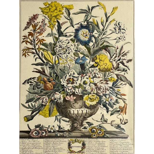 Late 20th Century Framed Prints, 12 Months of Flowers by Robert Furber Orig. 1730 - Set of Four For Sale - Image 9 of 18