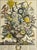Late 20th Century Framed Prints, 12 Months of Flowers by Robert Furber Orig. 1730 - Set of Four For Sale - Image 9 of 18