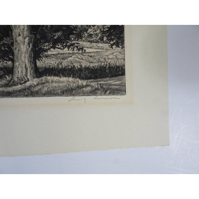 1944 etching on paper Beyond the Elm by Luigi Lucioni (1900-1988) Italy, New York, Vermont. Signed in pencil lower right...