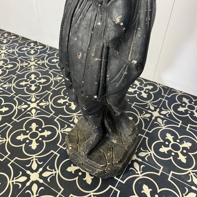 19th Century Venus Italica Ebonised Garden Statue For Sale - Image 6 of 15
