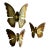 Set of 3 Vintage Mid Century Brass Butterfly Wall Hangings For Sale