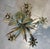 The "wheat ears" pendant light, attributed to the masca company and dating from around 1970, is an iconic example of...