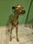 Brass Greyhound Sculpture, 1920s For Sale - Image 3 of 18
