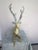 Vintage Sarreid Brass Deer Sculpture Figurine For Sale - Image 10 of 12
