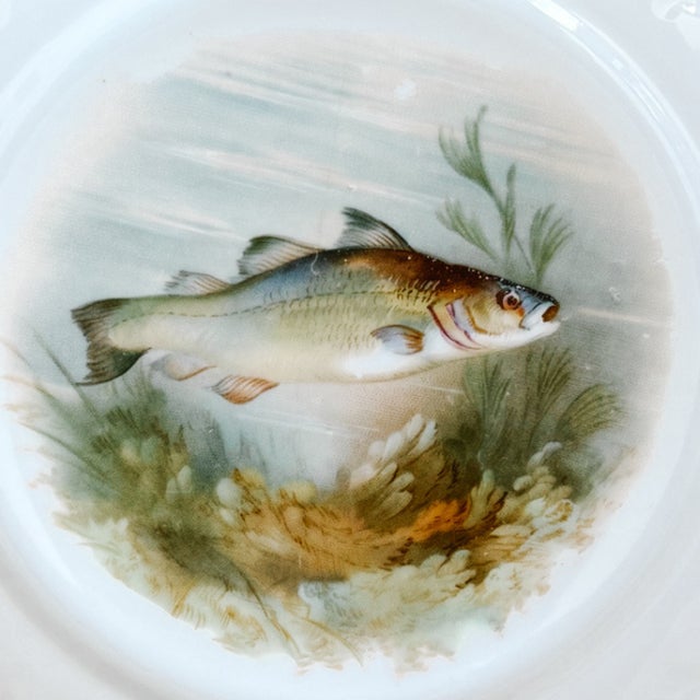 Antique Continental Porcelain Fish Plates – Set of 6 For Sale - Image 11 of 14