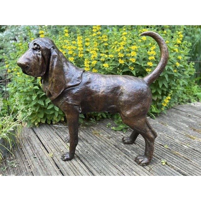 Life-Size Bronze Bloodhound Garden Statue from Christian Maas For Sale - Image 13 of 18