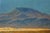 Late 20th Century Tiger on the Watch Camel Landscape Oil Painting After Jean Leon Gerome 46" For Sale - Image 12 of 13