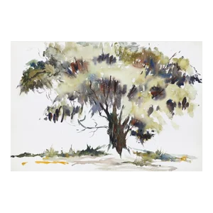 1960s "Tree P1.31" Watercolor Painting by Eve Nethercott