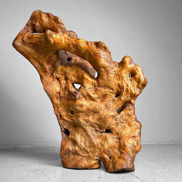 Wabi Sabi Burl Wood Decoration, Japan, 1950s For Sale - Image 17 of 17