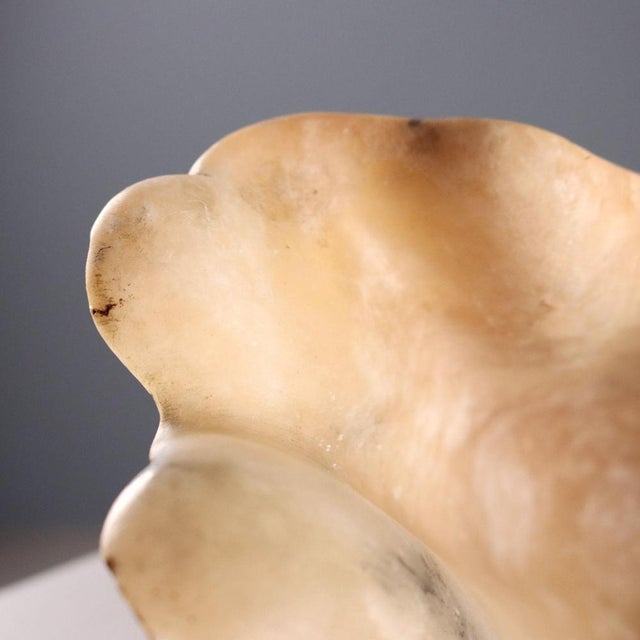 Alabaster Centerpiece in Shell Shape For Sale - Image 4 of 9