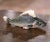 Mid-Century French Painted Barbotine Rainbow Trout Vessel From Fives-Lille For Sale - Image 4 of 8