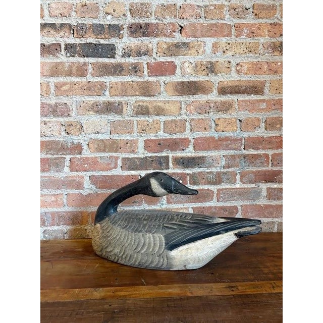 Master-Carved Antique Folk Art Preening Canada Goose Decoy For Sale - Image 14 of 18