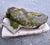 Cast Stone Dog Garden Ornament Statue With Moss Patina Mid 20th Century For Sale - Image 4 of 15