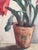 Arne Siegfried, Cactus en fleurs, Oil on Wood, Framed For Sale - Image 5 of 10