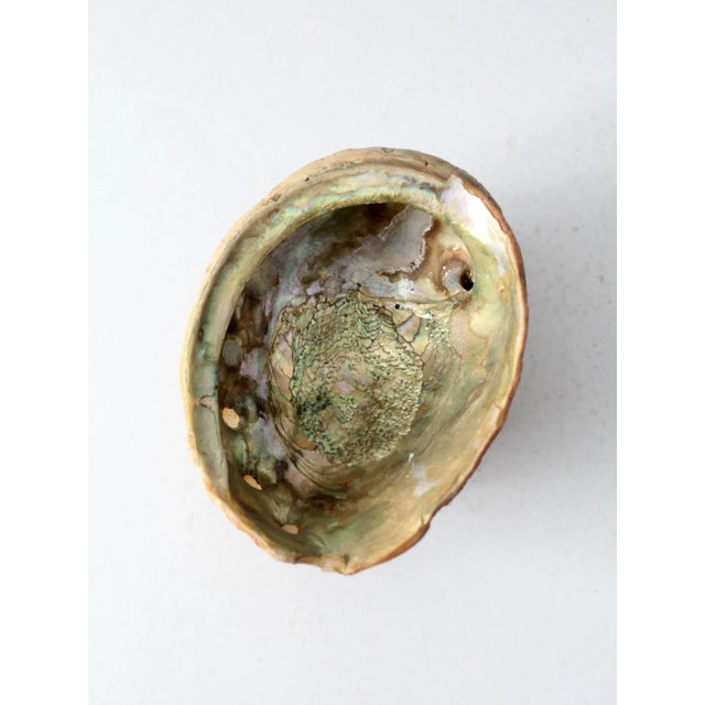 Mid Century Abalone Shell Footed Bowl For Sale - Image 9 of 11